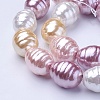 Shell Pearl Beads Strands BSHE-P030-03-4