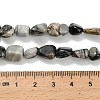 Natural Picasso Jasper Beads Strands G-K398-A01-01-5