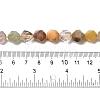 Natural Rutilated Quartz Beads Strands G-K382-A02-03-5