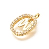 Brass Micro Pave Cubic Zirconia Pendants ZIRC-P123-01G-W01-2