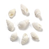 Natural Spiral Shell Beads BSHE-G038-06A-1