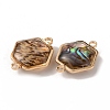 Natural Abalone Shell/Paua Shell Connector Charms KK-WH0031-05B-2