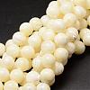 Natural Sea Shell Beads Strands SSHEL-K013-12mm-A-1