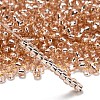 TOHO 6/0 Round Beads X-SEED-TR06-0031-2
