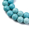 Dyed Natural Magnesite Beads Strands G-P558-A01-01B-4