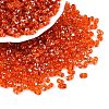 Picasso Spray Painted Glass Seed Beads SEED-T006-04-24-3