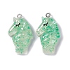 Translucent Resin Pendants RESI-I047-01B-3