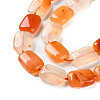 Natural Agate Beads Strands G-H024-F01-01-4