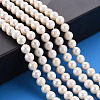 Natural Cultured Freshwater Pearl Beads Strands PEAR-N010-004-5
