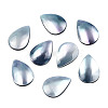 Natural Turbo Cornulus/Top Shells Cabochons SSHEL-N003-157A-2