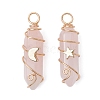 2Pcs 2 Styles Natural Rose Quartz Double Terminated Pointed Pendants PALLOY-JF03122-03-1