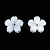 Natural White Shell Beads SSHEL-S260-057-2