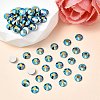 Preciosa® MAXIMA Crystal No Hotfix Flatback Stones Y-PRC-NSS16-20490-200-2