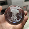 Inner Carving Glass Crystal Ball Diaplay Decoration PW-WGF6175-17-1