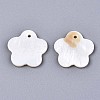 Natural Freshwater Shell Charms SHEL-S276-116-2