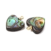 Natural Abalone Shell Pendants SH-CJC0AC7-01F-G-3