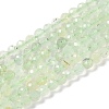 Natural Prehnite Beads Strands G-G139-A05-03-1