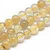 Natural Rutilated Quartz Beads Strands G-S263-8mm-01-1