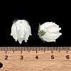 Handmade Lampwork Beads LAMP-F041-02-A04-3