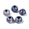 Natural Blue Spot Jasper Beads G-Q608-05H-1