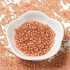 8/0 Glass Seed Beads SEED-Z001-C-E10-2