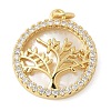 Brass Micro Pave Cubic Zirconia Pendants KK-K298-29B-G-1
