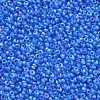 12/0 Grade A Round Glass Seed Beads SEED-Q010-M545-2