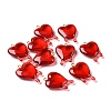 Transparent Resin Pendants LS-RESI-F028-01-1