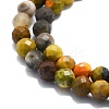 Natural Bumblebee Jasper Beads Strands G-P457-A01-30-2