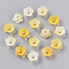 Frosted Transparent Acrylic Beads OACR-N137-72G-2