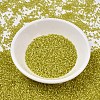 MIYUKI Delica Beads SEED-X0054-DB2187-2