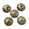 Natural Dalmatian Jasper Cabochons G-C115-02A-21-1