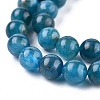 Natural Apatite Beads Strands G-R446-6mm-11-3