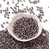 Transparent Inside Colours Glass Seed Beads SEED-H002-A-C209-2