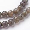 Natural Labradorite Bead Strands G-J352-01-6mm-3