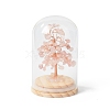 Natural Rose Quartz Chips Money Tree in Dome Glass Bell Jars with Wood Base Display Decorations DJEW-B007-04B-1