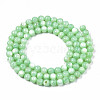 Natural Freshwater Shell Beads Strands X-SHEL-N003-24-B03-2