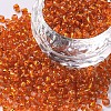 8/0 Glass Seed Beads X2-SEED-A005-3mm-29-1