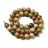 Natural Yellow Chrysocolla Beads Strands G-H298-A07-04-3