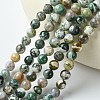 Natural Agate Round Gemstone Beads Strands X-G-R255-8mm-2