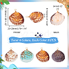 32Pcs 4 Colors Dyed Natural Shell Pendants PALLOY-AB00144-4