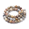 Natural Crazy Lace Agate Round Bead Strands G-E334-6mm-20-2