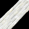 Natural Trochus Shell Beads Strands X-BSHE-Z003-18-1