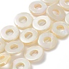 Natural Freshwater Shell Dyed Beads Strands BSHE-P033-01A-1