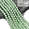 Eco-Friendly Glass Pearl Beads HY-J002-6mm-HX066-3