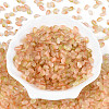 Frosted Glass Seed Beads SEED-N008-05D-2
