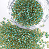 12/0 Grade A Round Glass Seed Beads SEED-N001-D-225-1