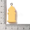 Opaque Resin Pendants RESI-K020-03F-3