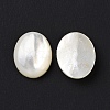 Natural Yellow Shell Cabochons SSHEL-H068-03-3