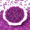 Baking Paint Transparent Glass Seed Beads SEED-N006-05G-2